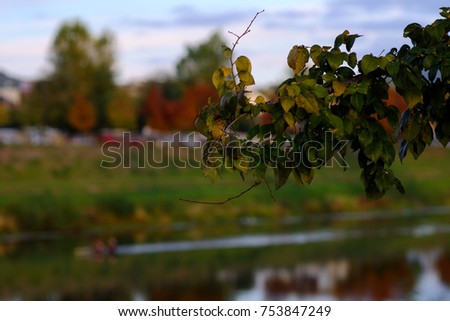 Athlete doing rowing on the river. Out of focus with foliage only in focus