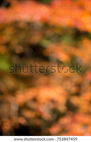 Blurred picture of colorful leaves in Japan during autumn season can be use as background of autumn contents, traveling to Japan contents, or others involve backgrounds contents.