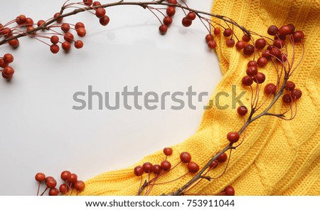 White background with branches with small apples and yellow sweater, close-up, Top view 
