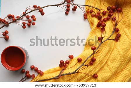 White background with branches with small apples and yellow sweater and a Cup of tea, close-up, Top view 