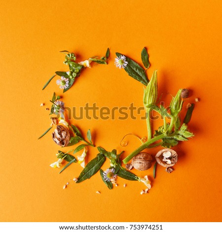 creative frame of nuts, flowers and green leaves on an orange background, autumn composition flat lay