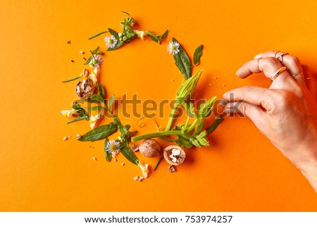 female hand makes a round frame of nuts, flowers and green leaves on an orange background, autumn composition