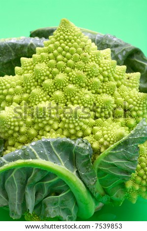 Isolated photo of romanesco (cross between broccoli and cauliflower)
