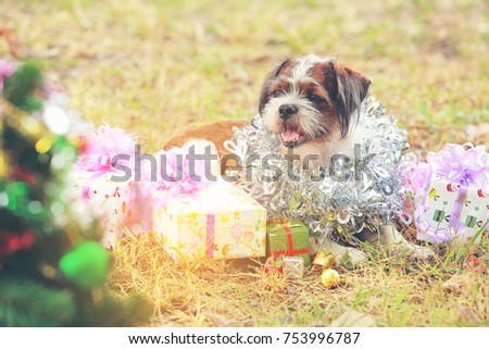 cute dog celebrating Christmas and New Year with decorations and gifts. year of the dog as a symbol of 2018 New Year. Concept  Happ New Year and Christmas.