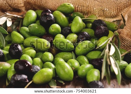 Composition of freshly harvested Italian genuine olives serving the production of high quality oil. Concept of: olives, italian food, oil, bio.