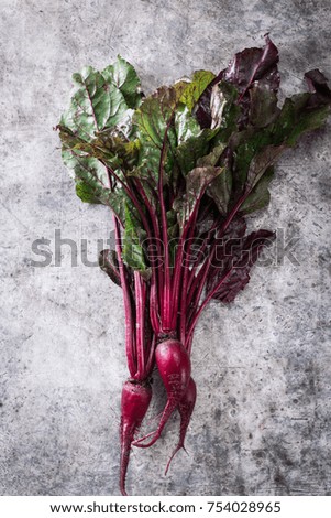 Pile of homegrown organic young beets with green leaves holding in the hand .Fresh harvested beetroots on grey concrete background.