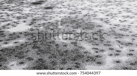 frozen water in the lake, winter, frozen pond, snow with leaves lying on ice, iced water, background, textures