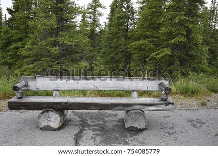 Bench at Denali on Foggy Day