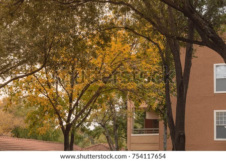 Typical apartment complex building in suburban area at Irving, North Texas, USA during fall season.