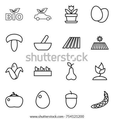 thin line icon set : bio, eco car, flower, eggs, mushroom, mortar, field, corn, seedling, pear, sprouting, tomato, egg, acorn, peas