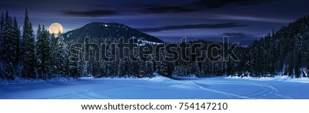 snowy meadow in spruce forest at night in full moon light. location lake Synevyr Ukraine, frozen in winter. beautiful nature panoramic landscape in Carpathian mountains Royalty-Free Stock Photo #754147210