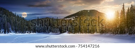 day and night concept of winter spruce forest. location lake Synevyr, Ukraine, frozen in winter. beautiful panorama of in Carpathian nature