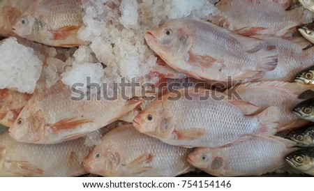 tilapia fish sold in supermarkets