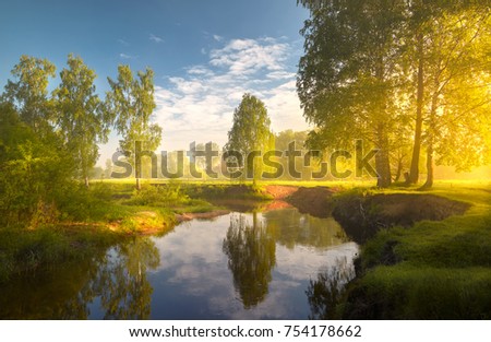 The river with birches ashore in the solar early summer morning with beautiful light