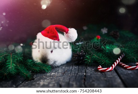 Christmas small rabbit in a red cap and candy on a wooden background.