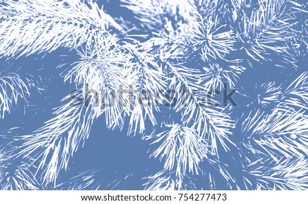 Beautiful winter backdrop. Nice fir branches. Close up. Wonderful background for your text. Christmas decoration. Indigo. Blue color