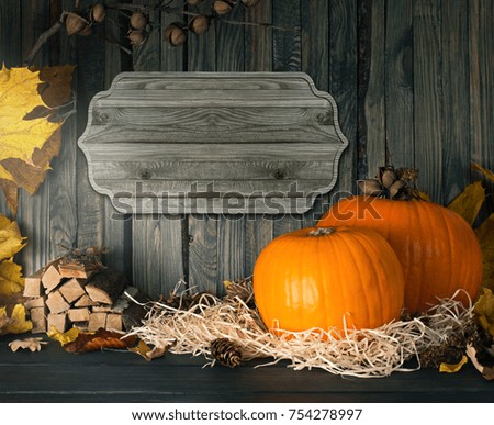 Festive still life with pumpkins on straw and signboard on wooden wall background for Thanksgiving. Decoration for house interior. Empty place for text. Copy space.