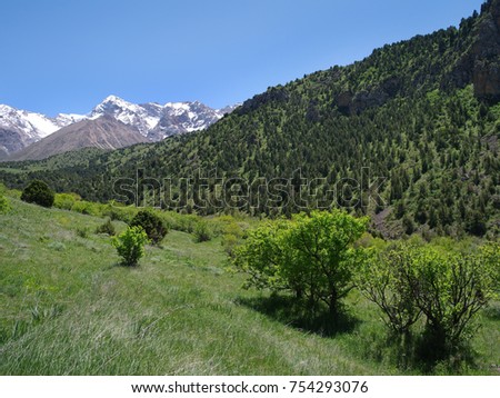 Peak Sayram, is highest peak of the Ugam Range. View from the valley of the Sayram-Su River. Sayram-Ugam state national natural park, The Ugam Range, Western Tien-Shan. South Kazakhstan.