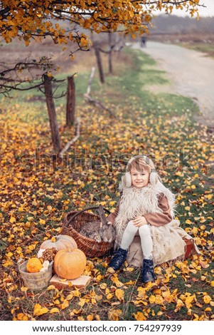 Beautiful girl is sitting with gray rabbit and pumpkins in the autumn garden.