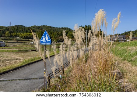 School Sign, children crossing sign beside the street with dry grass flower and clear blue sky in autumn Japan.