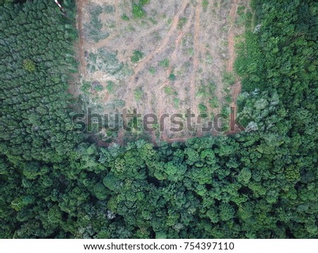 Deforestation. Aerial photo of rain forest logging in Thailand