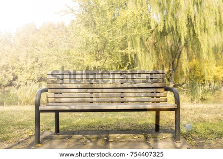 In autumn parks, benches