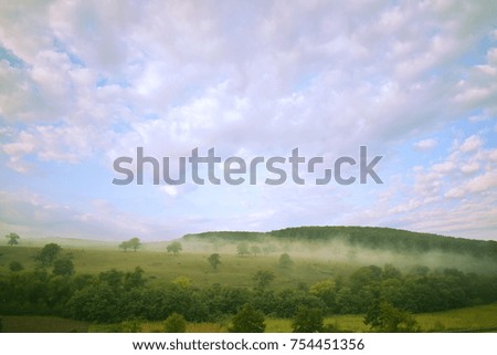 green trees with blue sky and morning fog