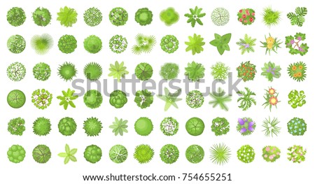 Vector set. Trees top view. Different plants and trees vector set for architectural or landscape design. (View from above) Nature green spaces. Royalty-Free Stock Photo #754655251