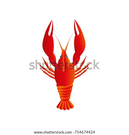Lobster vector flat illustration isolated on white background. Fresh seafood icon.
