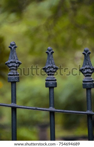 Closeup photo of green iron bars on a fence with blurred trees in background. Autumn, October in Madeira, island of Portugal