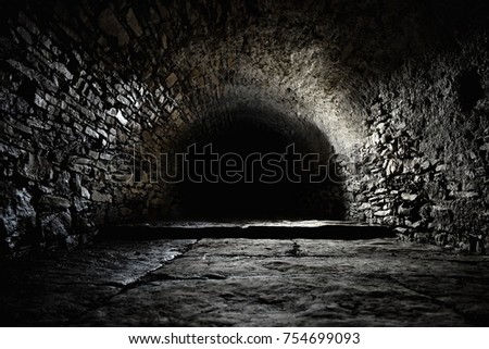 Scary underground, old castle cellar Royalty-Free Stock Photo #754699093