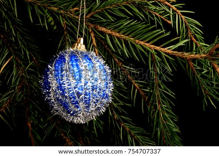 Blue Christmas decoration on branch, isolated on black background.