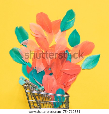 the colorful feathers of a bird falling out of grocery cart