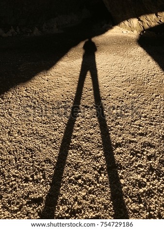 Shadow and light. Picture of self Silhouette in Front of direct sunlight. In the focus human Silhouette shadow with long legs.