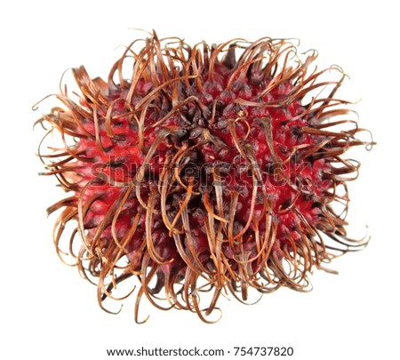 Red unpeeled rambutan fruit isolated on white background