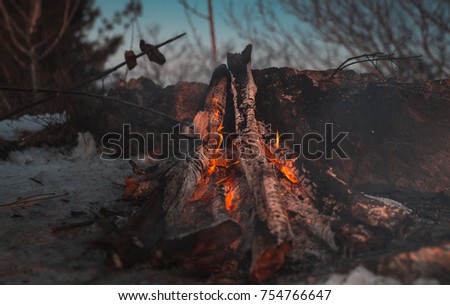 Outdoor bonfire in winter in the middle of snow forest