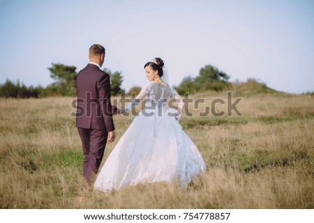 beautiful newlyweds walking in the valley
