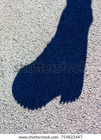 Conceptual picture of a shadow from a foot in a shoe on the asphalt. Everything in the world leaves its mark.