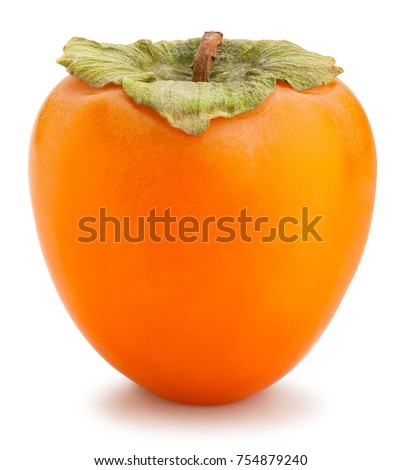persimmon path isolated