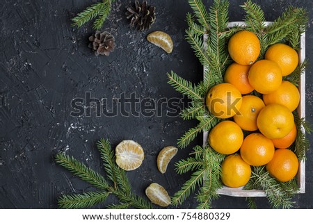 Fresh tangerine clementine on dark background with branches of Christmas tree