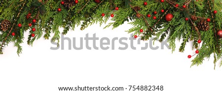 Christmas background. Green branches with red berries on white background