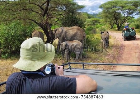Tourists on game drive taking pictures of elephants in  Lake Manyara National Park, Tanzania, Africa