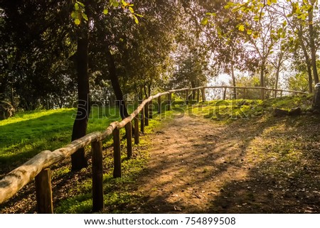 Dirt road with wooden fence