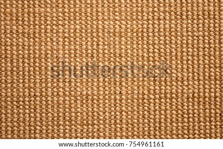 organic carpet from sisal for cat Royalty-Free Stock Photo #754961161
