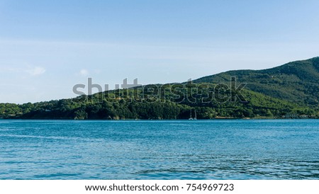 Horizontal photo of the cliff covered by green trees and bush with Mediterranean sea in the front. The rock / cliff is on the Elba island in Italy Tuscany. Sky is almost clear.