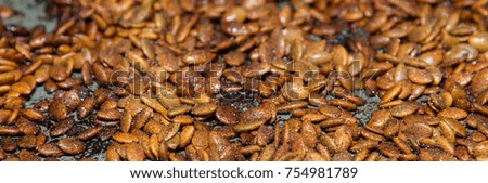 Freshly roasted pumpkin seed banner with a shallow depth of field