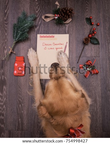 dog writing on Christmas letter , yellow paper on wooden background with decorations