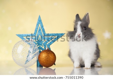 Bunny and Christmas background with winter decoration