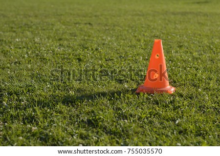 road cone on the lawn