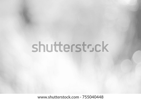 white blurred backdrop of nature, circle white wallpaper, gray bokeh background.